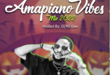 DJ Nii Gee Amapiano Vibes Mixtape 2022