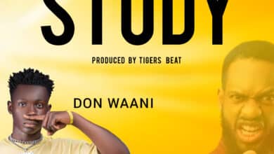 Download: Don Waani – Study